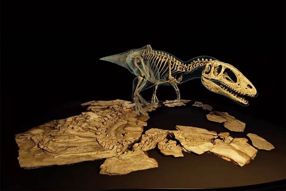 Dinosaurs